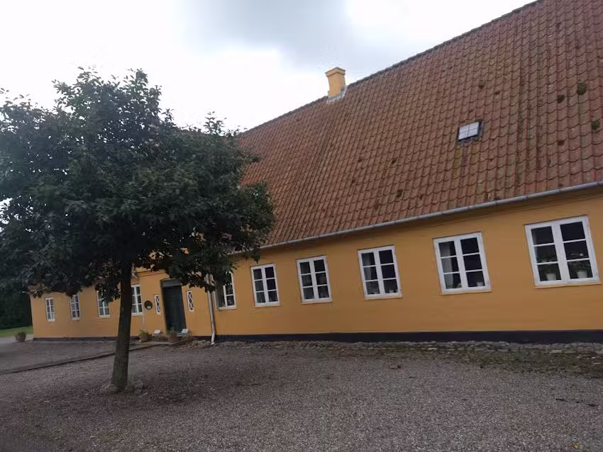 Happy Living &ndash; Natural Wellness by AromaShaman FloraJune