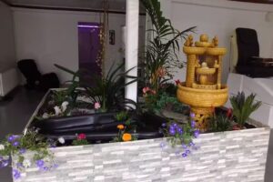 June´s Wellness & Bodycare