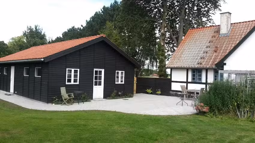 Kinesiologi og healing hos Rikke