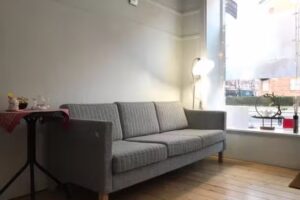 Kinesisk Akupunktur Center (Asian Treatment Therapy Expert)